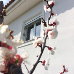 Κουφώματα Αλουμινίου Europa Ερέτρια Εύβοια
