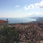 Οικία στην Ενορία Κύμης (31)
